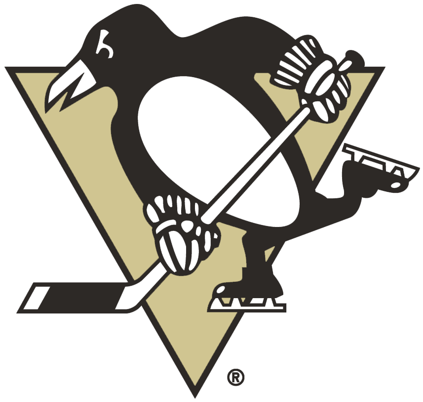 Pittsburgh Penguins 2002-2016 Primary Logo iron on transfers for fabric...